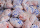 کاهش چشمگیر قیمت مرغ از هفته آینده در استان / جلوگیری از خروج زنده و لاشه مرغ به خارج از استان تا اطلاع ثانوی