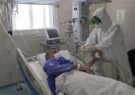 بستری ۳۳ بیمار جدید کرونایی و فوت یک نفر در اردبیل