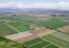 توقف ۴۱ مورد تغییر کاربری غیر مجاز اراضی زراعی در اردبیل